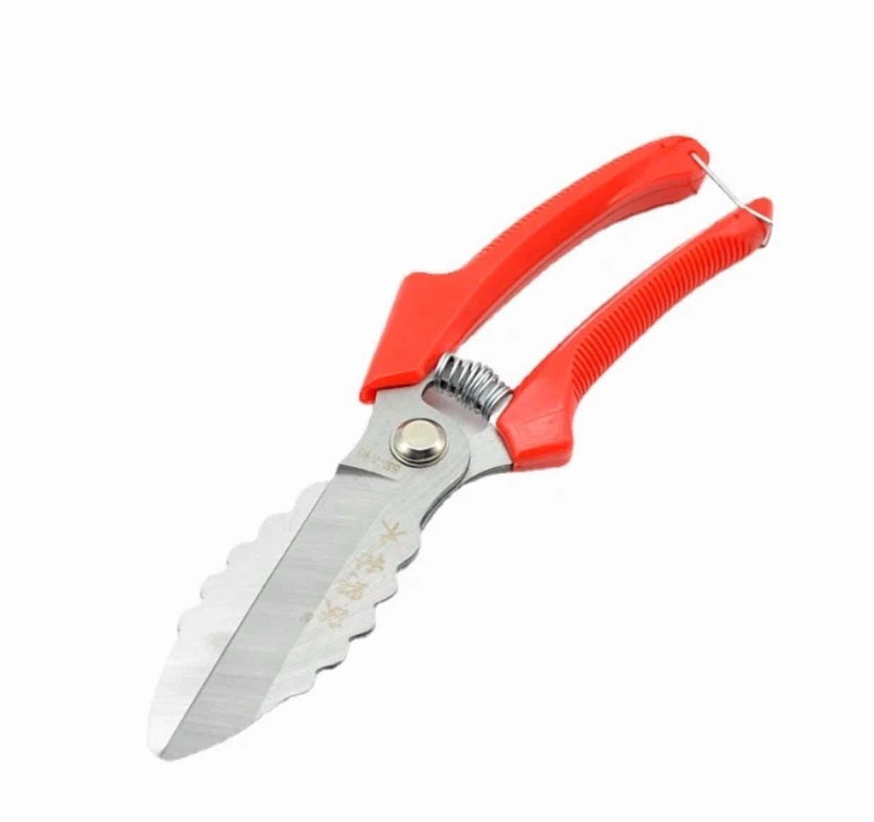 Household Stainless Steel Onion And Garlic Scissors Labor-Saving Garlic Scissors