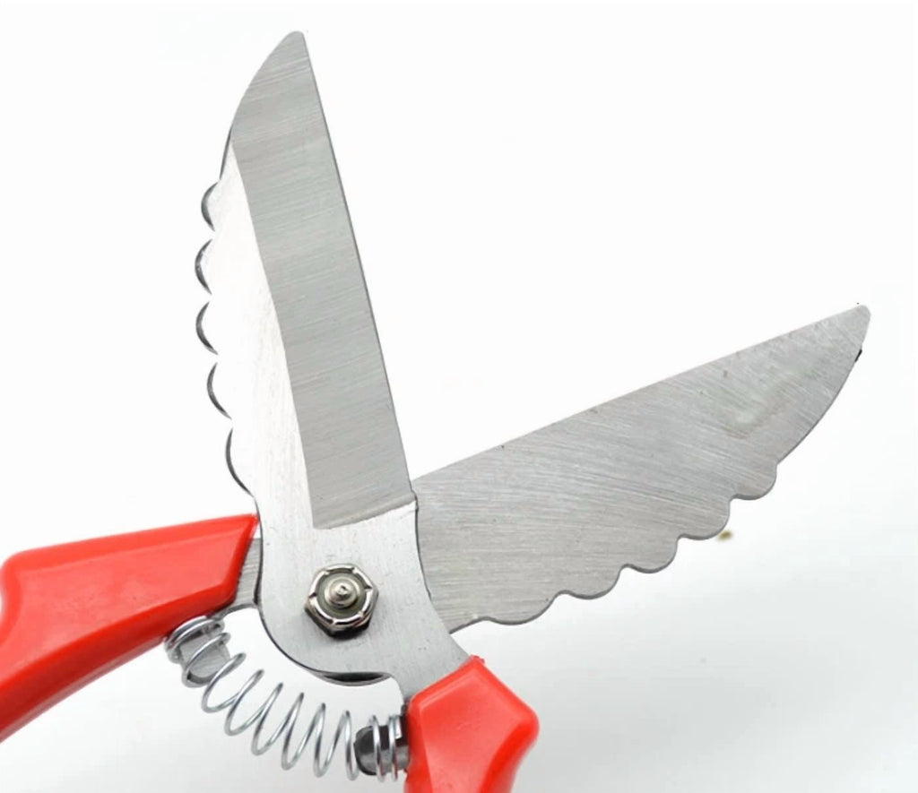 Household Stainless Steel Onion And Garlic Scissors Labor-Saving Garlic Scissors