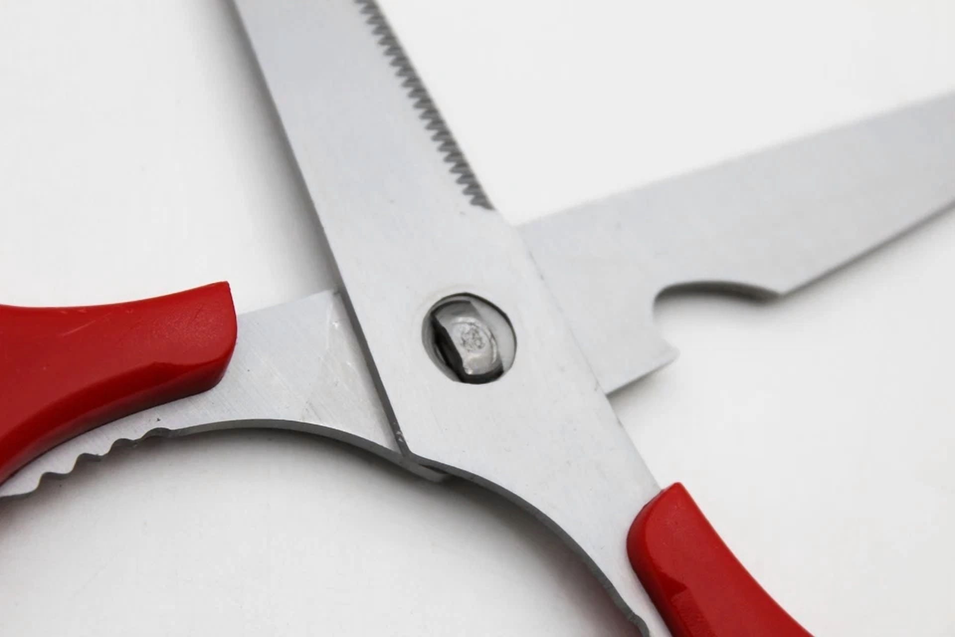 Kitchen Scissors Titanium Coated Detachable Multi Use Scissors ( Easy Clean )